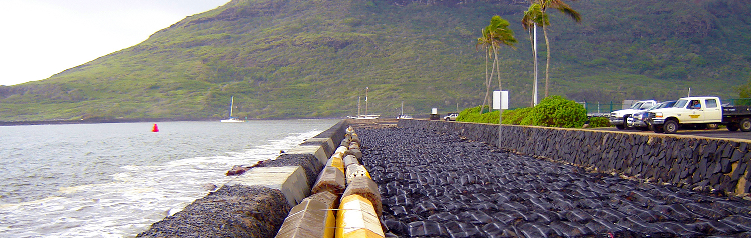 Erosion Control // Geogrid Engineering // POME